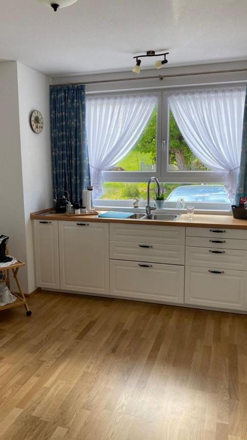 Steppacher Ferienappartements Friedenweiler Εξωτερικό φωτογραφία